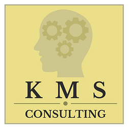 kmsconsulting